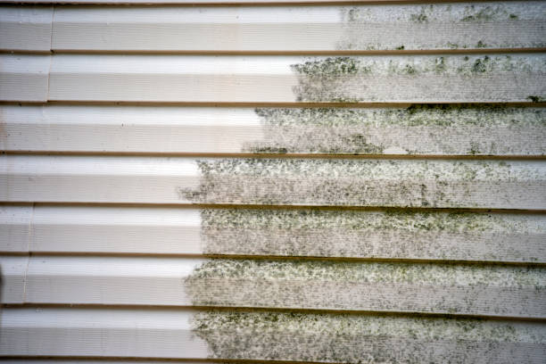 Affordable Siding Repair and Maintenance Services in Arcadia, SC